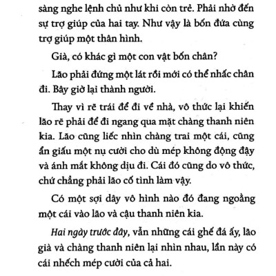 Khởi Đầu Là Mèo