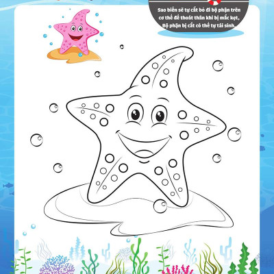 My Big Ocean - Con Tập Tô Cảm Xúc Đại Dương
