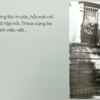 Thỏ Bé Bồng Bông