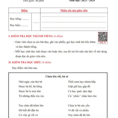 Sách - Tuyển Chọn Đề Kiểm Tra Tiếng Việt Các Trường Lớp 4