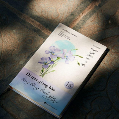 Sách - Đi Qua Giông Bão Lòng Bỗng Bình Yên - Tập 16 - Tuyển Tập Ranh Giới Giữa Mê Và Ngộ - Vĩnh Nghiêm Books