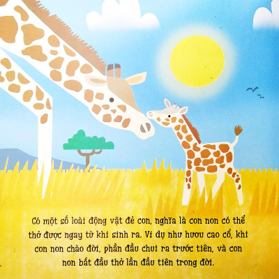 Bé Yêu Khám Phá - Thú Non Đáng Yêu
