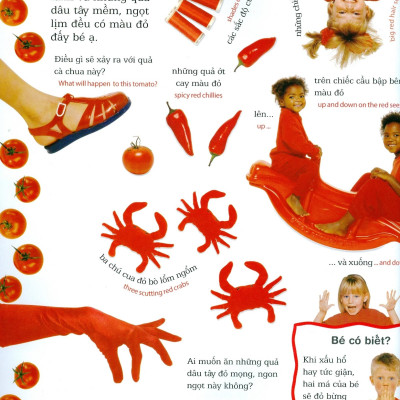 Lớp Học Vui Về Màu Sắc - Colours