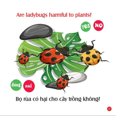 Sách - Rèn Luyện IQ EQ CQ - Mẹ Hỏi Bé Trả Lời - Tập 1 - Song Ngữ Anh Việt - Việt Thư