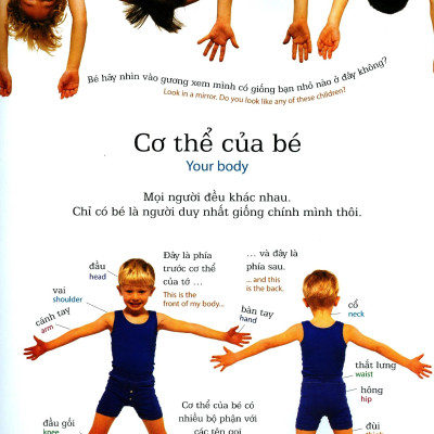 Lớp Học Vui Về Cơ Thể - My Body