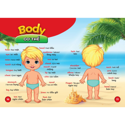 Từ Điển Bằng Hình Đầu Tiên Của Bé - Bách Khoa Tri Thức ( Các Trang Điều Là Bìa Cứng )
