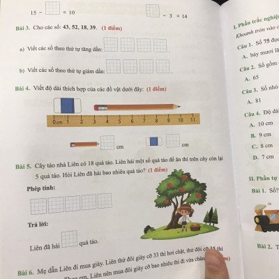 Đề kiểm tra Toán 1 học kì 2 ( Cánh Diều )