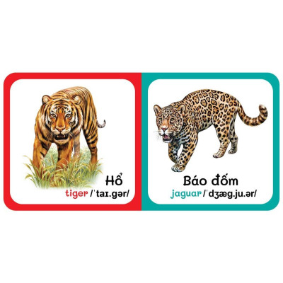 Sách - Từ Điển Bằng Hình Đầu Tiên Của Bé Từ 0-6 tuổi - Song Ngữ Anh Việt - Combo 9 Cuốn - Việt Thư