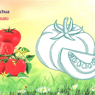 Bé Làm Quen Môi Trường - Rau Củ