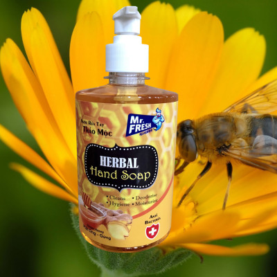 Combo 2 chai nước rửa tay Hand Soap Hương Mật ong rừng