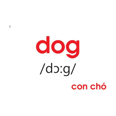 Sách - Hộp English Flashcards For Kids - Tặng 400 Câu Đố - Minh Thắng