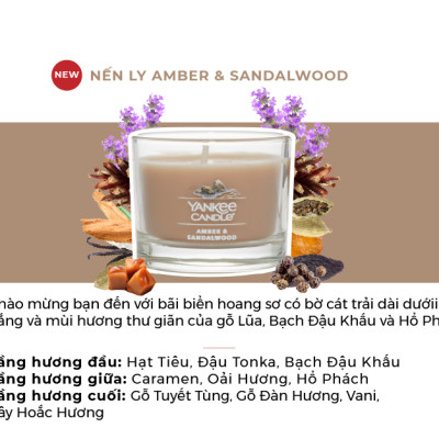 Nến ly mini Yankee Candle (37g) - Amber & Sandalwood