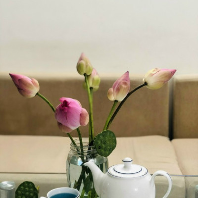 HOA ĐẬU BIẾC KHÔ HANA FARM 100GR