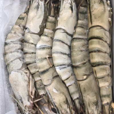 Tôm sú nguyên con sinh thái Seaprodex kích cỡ 6 con/hộp, 500gr