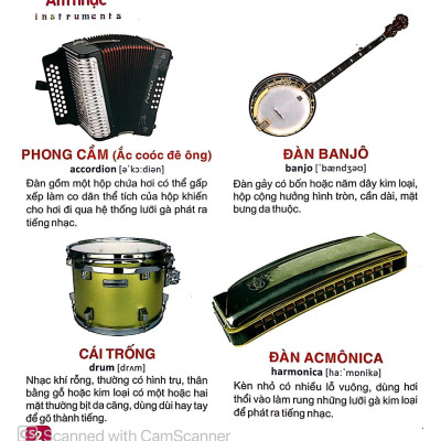 Từ Điển Tranh Dành Cho Thiếu Nhi - Giao Thông, Thể Thao, Âm Nhạc