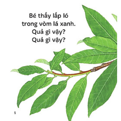 Sách - Sách Ehon - Ú Òa! - Quả Gì Đây? - Bìa Cứng