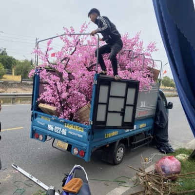 Cây mai giả trang trí Tết 2025 SHIP HOẢ TỐC HCM cây mai lắp ráp cao 1m5 2m mai Vàng nhận đặt mẫu theo yêu cầu