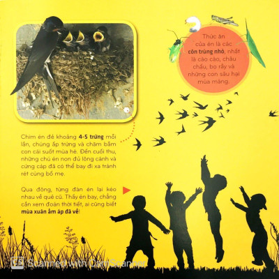 Sách - Bí Ẩn Thế Giới Loài Vật - Chim (Tái Bản 2025)