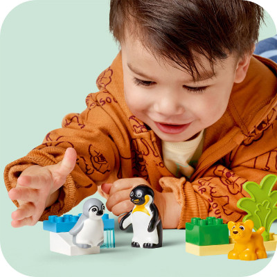 LEGO DUPLO 10442 Đồ Chơi Lắp Ráp Gia Đình Động Vật Hoang Dã: Chim Cánh Cụt Và Sư Tử (10 chi tiết)