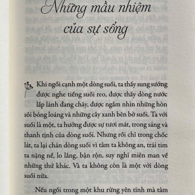 Hạnh Phúc Cầm Tay