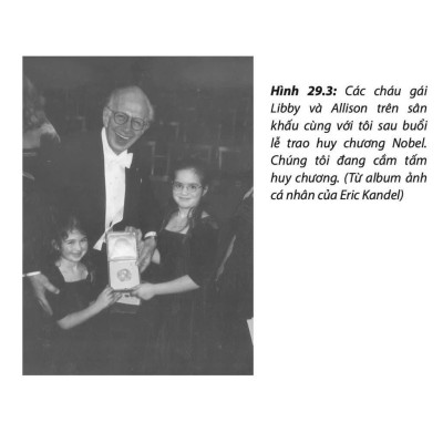 Sách - Lần Theo Dấu Ký Ức - Cuộc Cách Mạng Trong Nghành Khoa Học Tâm Trí - Eric Richard Kandel - Nobel Y Sinh Học 2000