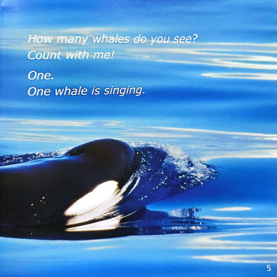 Gõ Cửa Thiên Nhiên Bài Ca Biển Cả: Học Đếm_The Song From The Sea