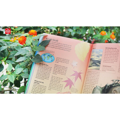 Sách - Geography Encyclopedia - Bách Khoa Toàn Thư Về Địa Lý - Đinh Tị Books