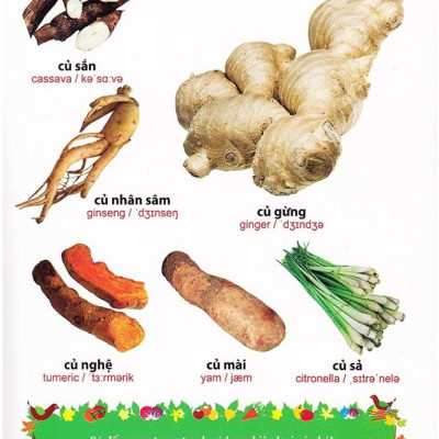 Sách: Từ Điển Tranh Về Rau - Củ - Quả - Hoa (Bìa Cứng)