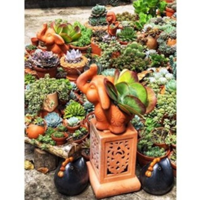 Chậu Gốm Đất Nung (terracotta) Hình Chú VOI TAI TO