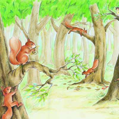 Kính Vạn Hoa Thiên Nhiên: Sóc Con Qua Đường