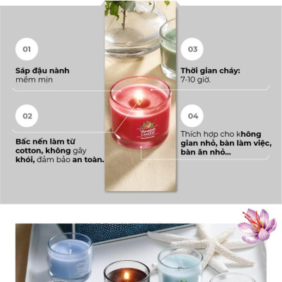 Nến ly mini Yankee Candle (37g) - Amber & Sandalwood