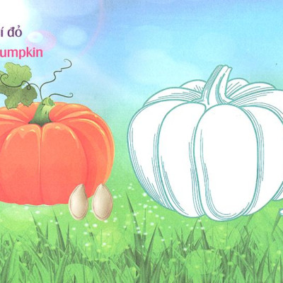 Bé Làm Quen Môi Trường - Rau Củ