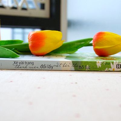 Bộ 4 Cuốn Sách Cẩm Nang Tuyệt Mật Của Phụ Nữ: Xé Vài Trang Thanh Xuân, Kế hoạch tự tin, Sống Kỷ Luật, Biết Kiềm Chế Và Sống An Nhiên Đời Bình Yên