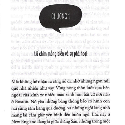 Mia Và Trang Trại Dế Của Nội