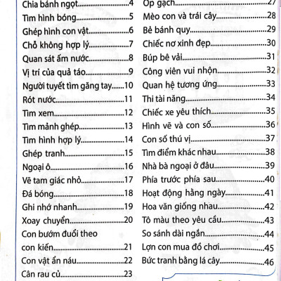 Sân Chơi Trí Tuệ Cho Trẻ - Rèn Luyện Tư Duy Não Trái + Phát Triển Sáng Tạo Não Phải - Dành Cho Bé 5-6 Tuổi - Tập 2