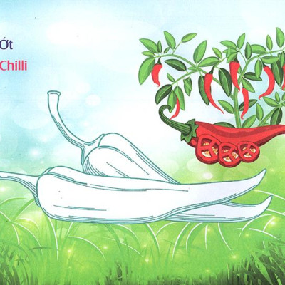 Bé Làm Quen Môi Trường - Rau Củ