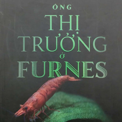 Ông Thị Trưởng Ở Furnes