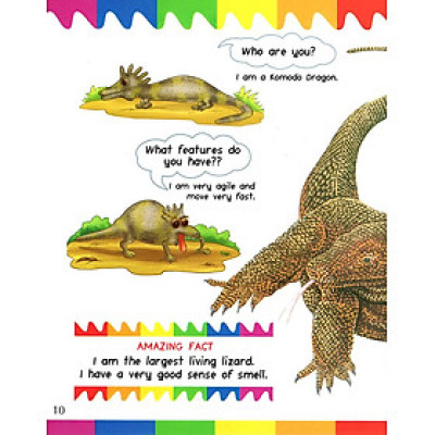 My First Questions & Answers - Reptiles & Amphibians