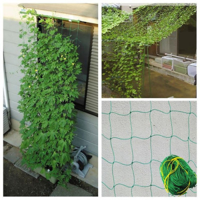 Lưới làm giàn dung cho cây trồng dây leo - diện tích 2x3m