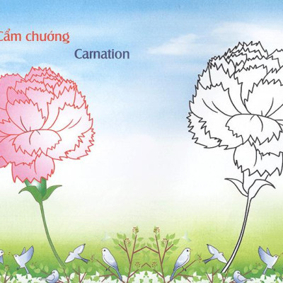 Bé Làm Quen Môi Trường - Các Loài Hoa