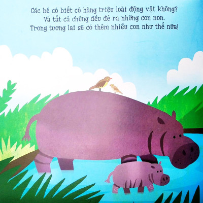 Bé Yêu Khám Phá - Thú Non Đáng Yêu