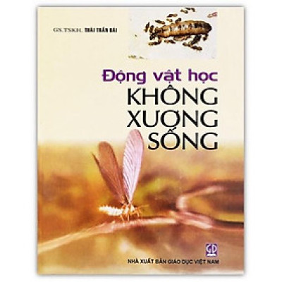 Sách - Động Vật Học Không Xương Sống (DN)