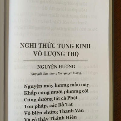 Phật Thuyết Đại Thừa Vô Lượng Thọ trang nghiêm thanh tịnh bình đẳng giác kinh ( bìa da) 