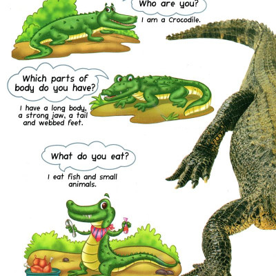 My First Questions & Answers - Reptiles & Amphibians