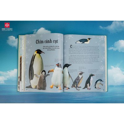 Sách - Bách Khoa Thư Kỳ Thú Về Vũ Trụ - Đinh Tị Books