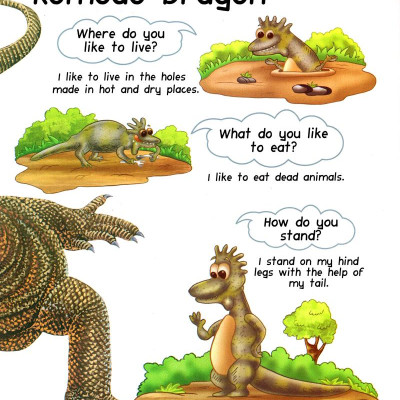 My First Questions & Answers - Reptiles & Amphibians