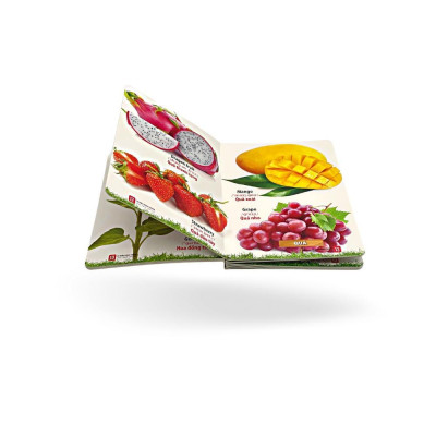 Sách - Từ Điển Bằng Tranh Hoa, Quả, Rau Củ - Việt Thư