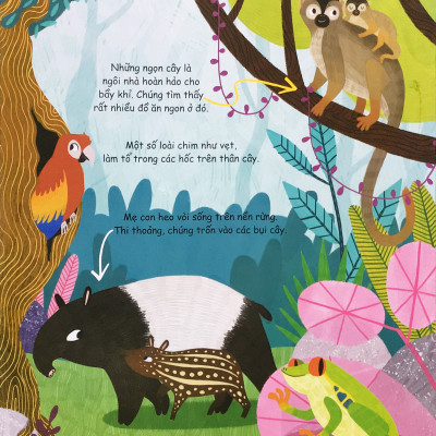 Cuốn sách đầu đời của bé - Khám phá động vật hoang dã