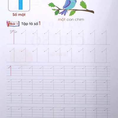 Tủ Sách Chồi Non Chăm Học - Vở Tập Tô Chữ Số - Dành Cho 5-6 Tuổi (Theo Chuẩn Chương Trính Mới) (Tái Bản Lần 5)