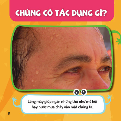 Sách - Em Yêu Cơ Thể - Lông Mày